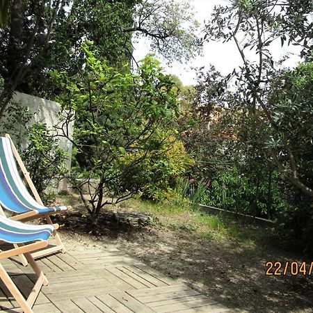 Nice - Studio Independant En Villa - Mer Ville Calme Jardinet 외부 사진